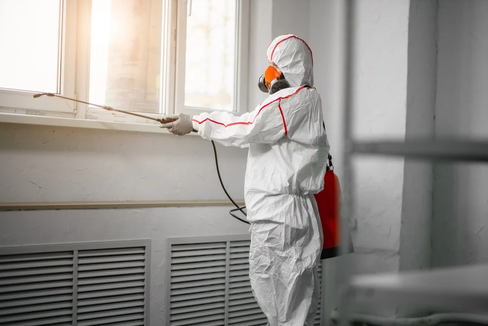 Professional mold remediation services in Schooleys Mountain, NJ